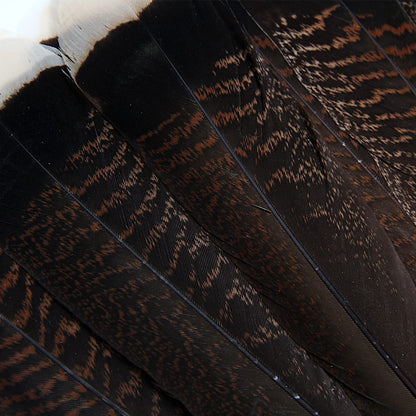 THARAHT 24pcs Natural Wild Turkey Tails Feathers Quill Bulk 8-10inch 20-25cm for DIY Crafts Project Collection Wedding Decoration Wild Turkey Tails Feather
