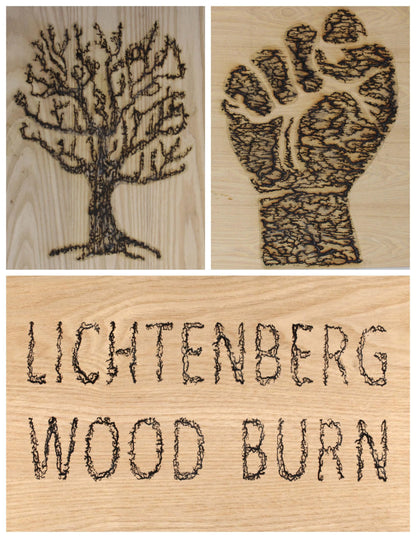 10kV Lichtenberg Wood Burning Machine Fractal Wood Burning Machine Kit Neon Light Transformer Burner Device High Voltage Neon Power Supply, Not Led Sign Transformer