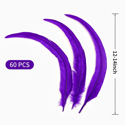 Holmgren Purple Rooster Feathers Bulk - 60pcs 12-14inch Natural Long Rooster Tail Feathers for DIY Crafts, Mardi Gras Masquerade Party Performances Decoration (Purple)