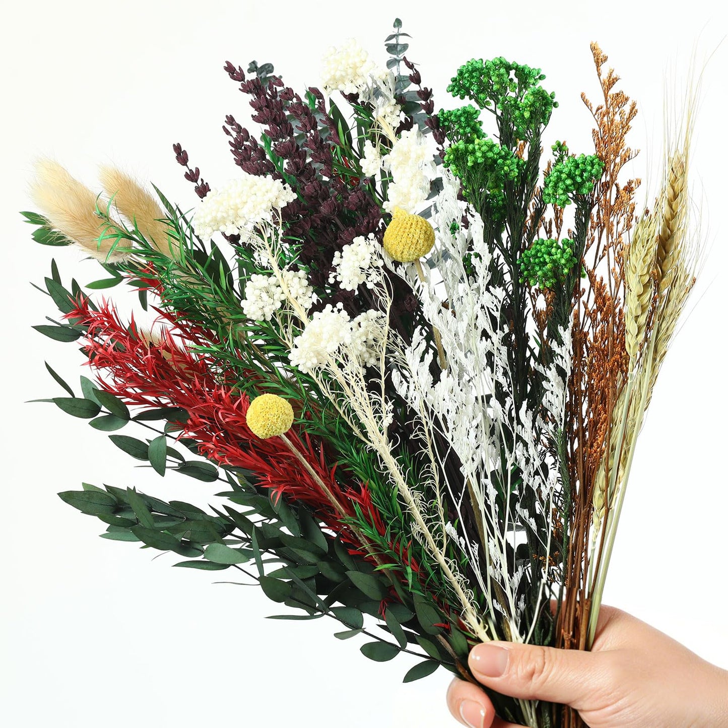 Natural 12 Kinds Dried Flowers Set, 16" Floral Arrangements with Eucalyptus, Bunny Tails, Wheat, Lavender, Rustic Boho Wedding, Home Centerpiece Decorations, Handmade for DIY Crafts, Fall Table Décor