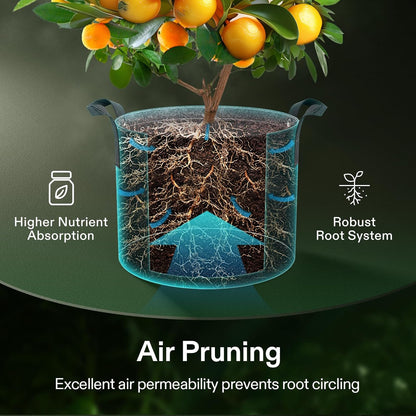 VIVOSUN 3 Gallon Grow Bags - 5-Pack Thick Nonwoven Fabric Pots with Handles for Plant Training