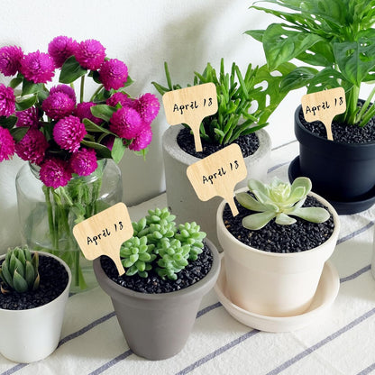 Whaline 60Pcs Wooden Plant Labels with Marker Pen, Decorative Garden Markers for Herbs