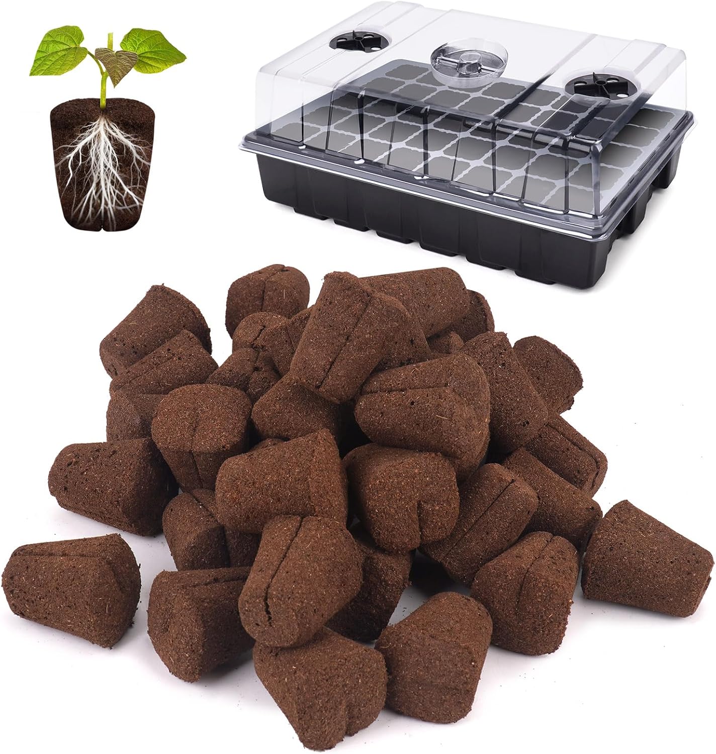 LAPOND 40 Pcs Grow Sponges with Tray, Starter Plugs for Cuttings, Great for Soil, Tray or Planting Pods Plant Rooter