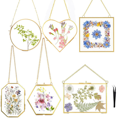 HBLEDOT Pressed Flower Frames, Wall Hanging Double Glass Picture Frames with Chain for Dried Flowers Plants Wall Decor,Only Frame and tweezers (Gold-6PCS)