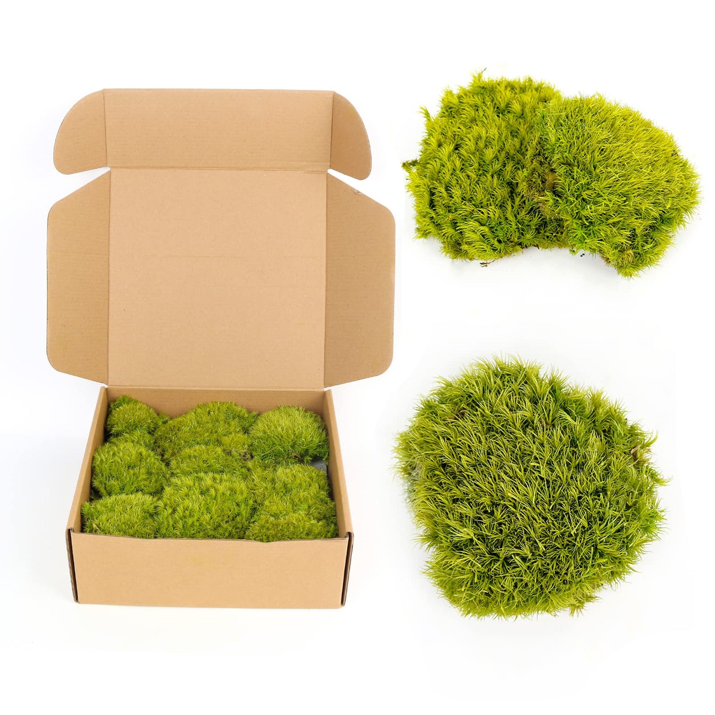 1.5 Sq. Ft. Preserved Moss Pole Decorative Moss for Crafts, Art, Wall Decor,Yellow Green Moss