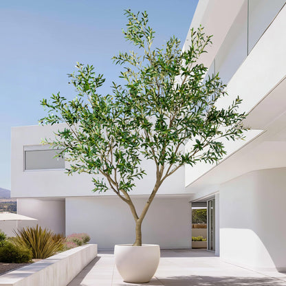 10FT Artificial Olive Tree with Realistic Leaves & Natural Trunk, Faux Silk Olive Plant in White Planter, Tall Fake Tree for Modern Home Office Living Room Entryway Corner Decor, Maintenance Free