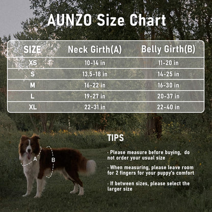 Dog Vest Harness for Medium Sized Dogs No-Pull Tactical Harness with 2 Metal Leash Clips, Easy On/Off with Neck Buckle, Adjustable Soft Padded Reflective Oxford Dog Vest with Easy Control Handle