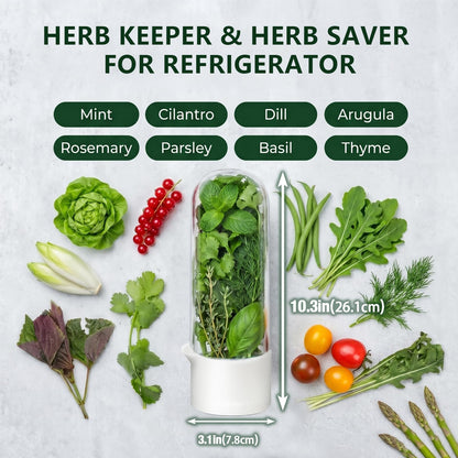Anreelkou 2PCS Herb Saver, Herb Keeper for Refrigerator, Cilantro Container for Fridge, Hard Shell Fresh Herb Storage for Asparagus, Parsley, Mint, Rosemary, Keeps Greens Fresh for 2-3 Weeks