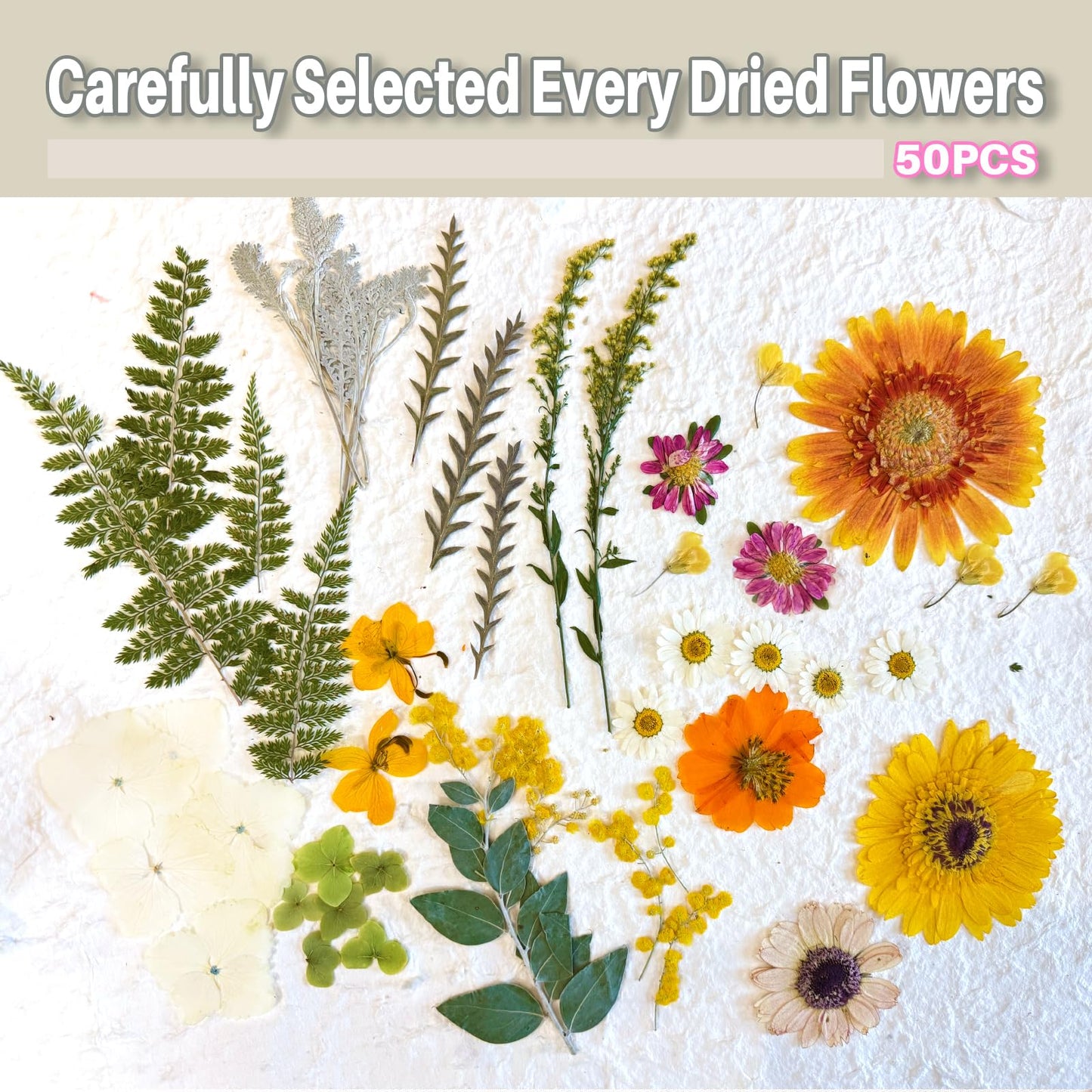 ZQmino A4 Large Dried Pressed Flowers for Resin Real Dry Natural Flowers Leaves for Resin Mold Cake Candle Making Phone Cases Scrapbooking DIY Art Crafts (Yellow+White)