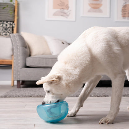 Planet Dog Orbee-Tuff Snoop Interactive Treat Dispensing Dog Toy, Large, Blue