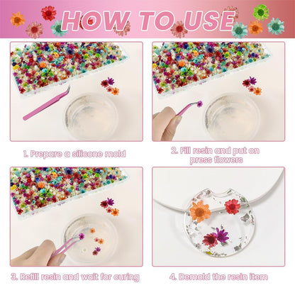 MARRTEUM 800 PCS Mini Dried Flowers for Resin - Include Tweezers, Small Tiny Natural Real Dried Pressed Flowers Art Bulk for Crafts Resin Nails, DIY Epoxy Earrings Jewelry Crafts, Soap Candles Making