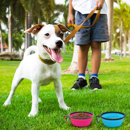 2-Pack Small Dog Travel Bowl, Collapsible Bowls for Dogs, Foldable Cat Water Bowl, Portable Pet Feeding Watering Traveling Dish (Black & Orange)