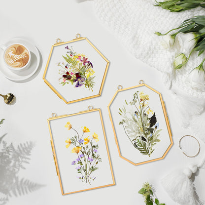 BABUFINE Pressed Flower Frames with Tweezers, Wall Hanging Double Glass Picture Frames with Chain for Dried Flowers Plants Wall Decor,Only Frame (Gold-3PCS)