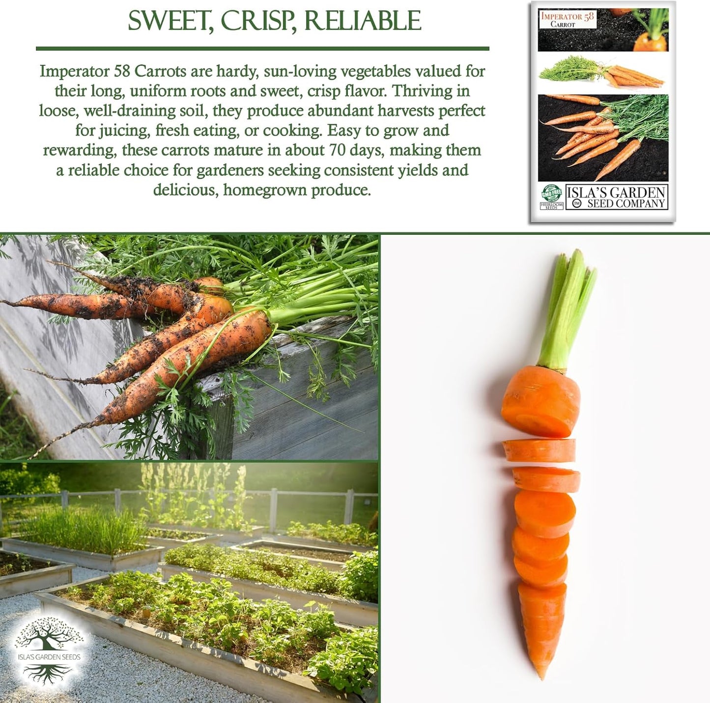 58 500+ Imperator Carrot Seeds (Daucus carota) Non-GMO & Heirloom Seeds, Long and Sweet Carrots for Juicing, Fresh