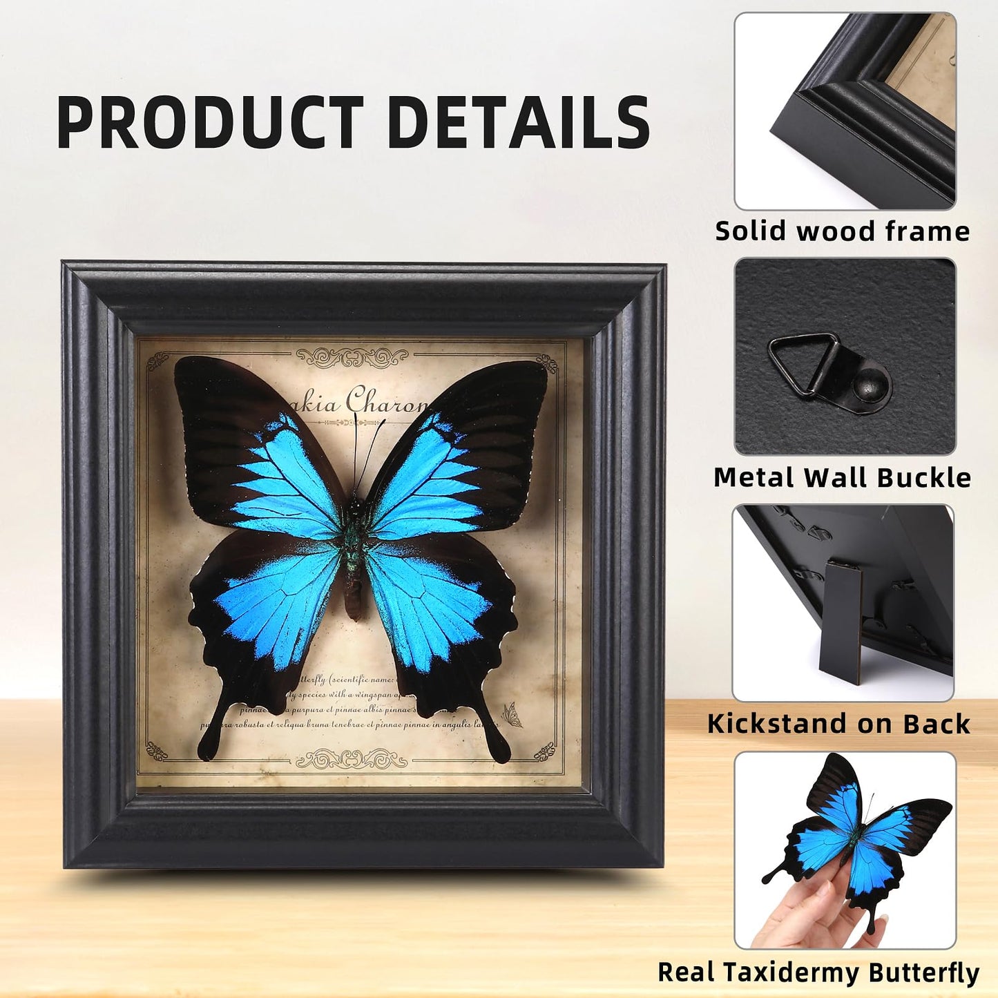 Butterfly Specimen Photo Frame,Real Butterfly Shadow Box. (Heavenly Swallow Butterfly)
