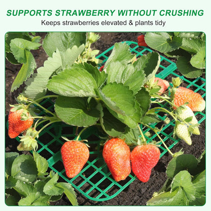 10 Pack, Strawberry Plant Support, Raised Grid Stand to Keep Strawberries Off the Ground, Strawberry Holder for Garden