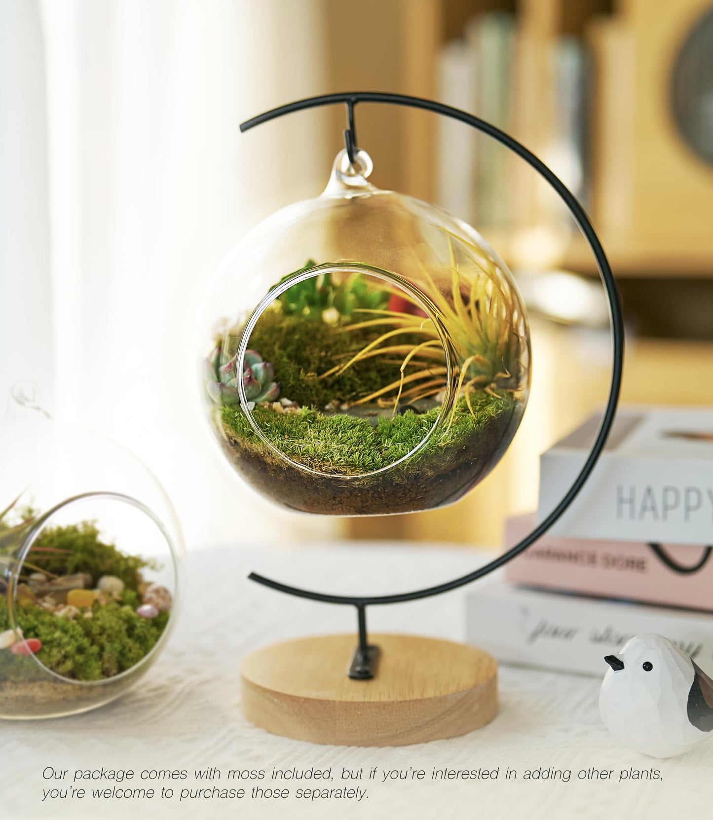 LUCKYRUNES DIY Terrarium Kit with Live Moss, 15-Piece Glass Globe Set with Wooden Stand, Tools, Soil, Stones & Spray Bottle, Indoor Mini Garden Gift for Plant Lovers, Home Desk Decor