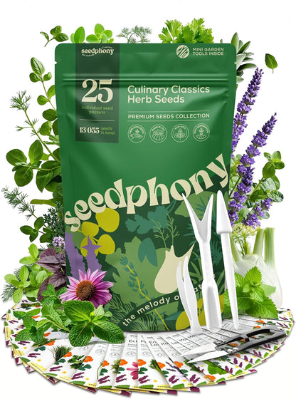 25 Pack 13,055+ Culinary Herb Seeds Variety - Non-GMO Heirloom Herbs Seeds for Planting Indoor & Outdoor: Rosemary