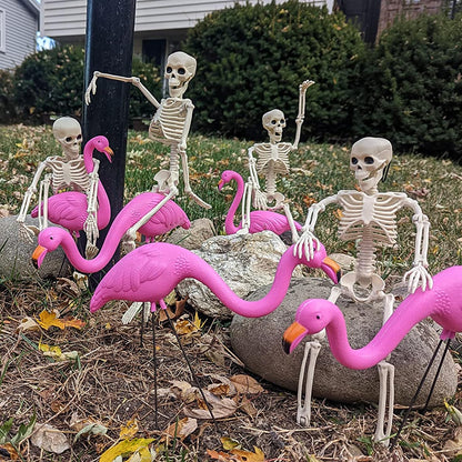 XONOR 16” Posable Halloween Skeleton- Full Body Halloween Skeleton with Movable Joints for Haunted House Props Decorations (6pcs)