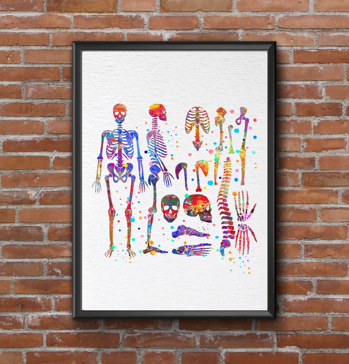 Dignovel Studios 8X10 Unframed Skeletal System Human Skeleton Body Anatomy Medical Medicine Science Watercolor Art Print Poster Wall Nursery Kids Office Home Decor DN574