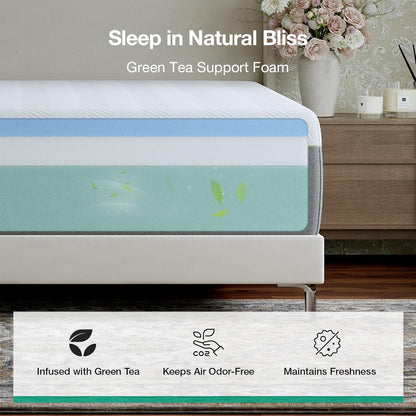 Novilla Bliss Twin XL Mattress - 10 Inch Green Tea Memory Foam for Refreshing Sleep | Cool-Touch Cover & Pain Relief