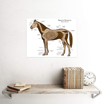 Wee Blue Coo Animals Skeleton Bones Horse Anatomy Unframed Wall Art Print, Premium Home Decor