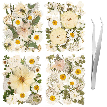 100pcs White and Light Yellow Dried Pressed Flowers Bulk, Natural Fall Pressed Dried Flowers with Tweezer for DIY Crafts Resin Mold Candles Cake Bridal Scrapbooking Supplies