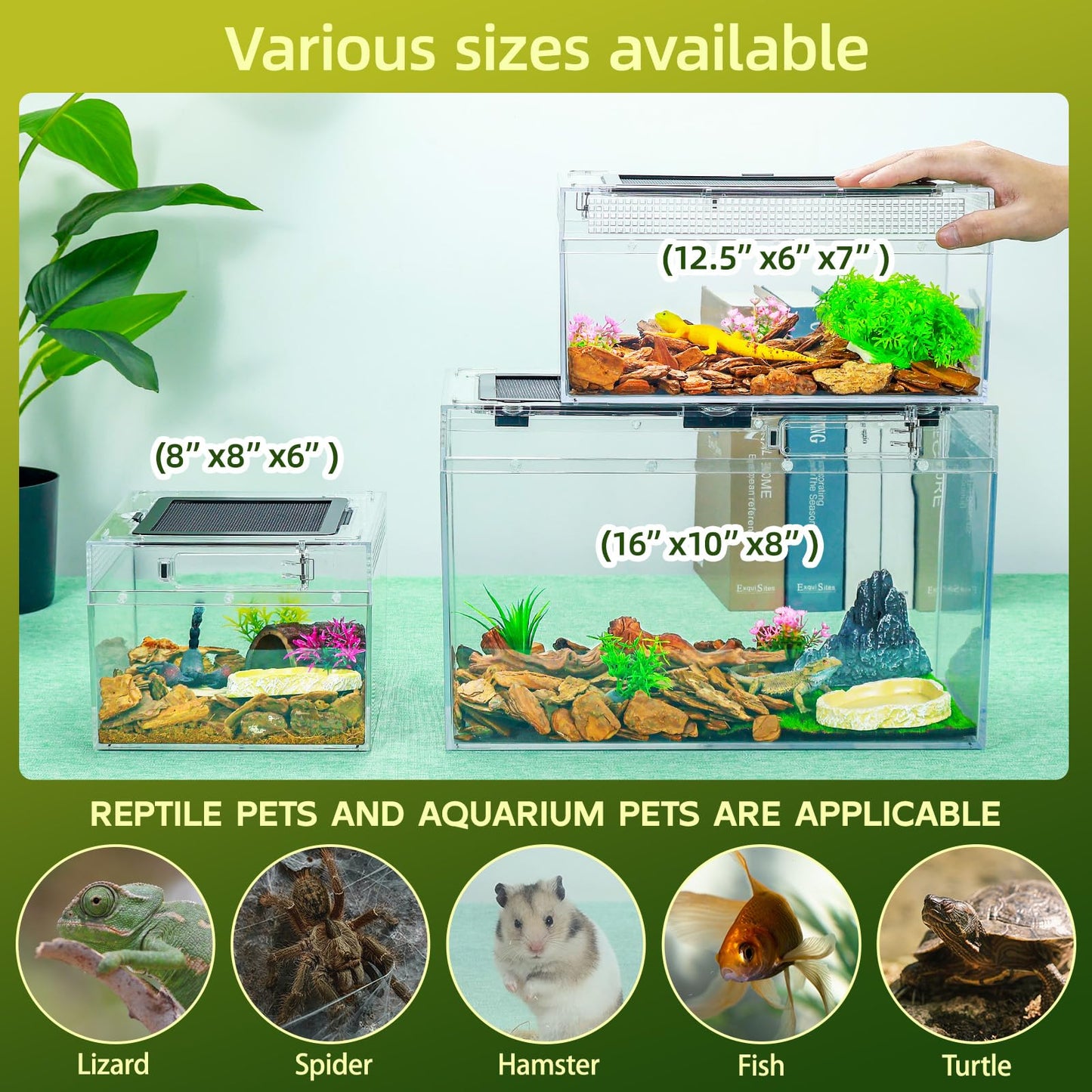 BINANO 12.5''×6''×7'' Reptile Tank Kit with Heat Lamp, Spray Bottle, Shovel, Tweezers, Food Bowl, Hideout -Perfect for Geckos, Snakes, Lizards, Turtles, Jumping Spider,Milk Frog,Hermit Crabs