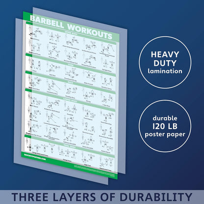 Palace Learning Dumbbell & Barbell Workout Charts - Set of 4 Laminated Muscle Guides (18" x 24")