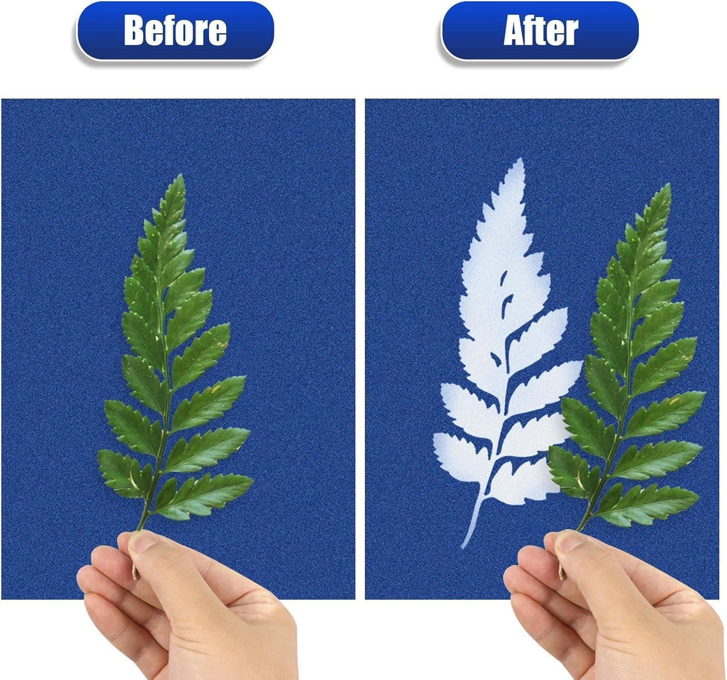 LIGHOON 60 PCS Cyanotype Sun Print Kit, A5 Sensitive Solar Art Paper Kit with 20 Pcs Leaf Sticker for DIY Arts Crafts Projects