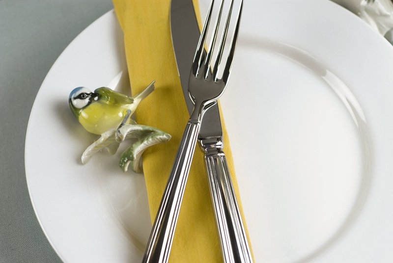 Fortessa Metropolitan 18/10 Stainless Steel Flatware Table Fork, Set of 12