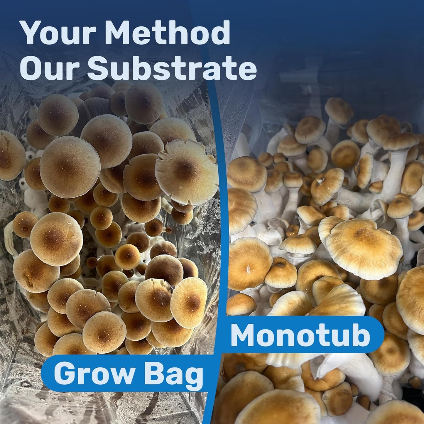 5 lbs Surfin' Spores Premium Mushroom Substrate - Bulk CVG Blend for Monotub Cultivation - Pasteurized Coco Coir