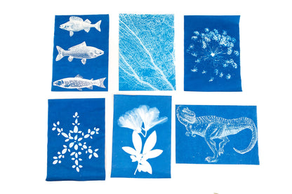 Nature Print Paper - NPP40 Sun Activated, 5 x 7 Inches, Pack of 40 - 1006385