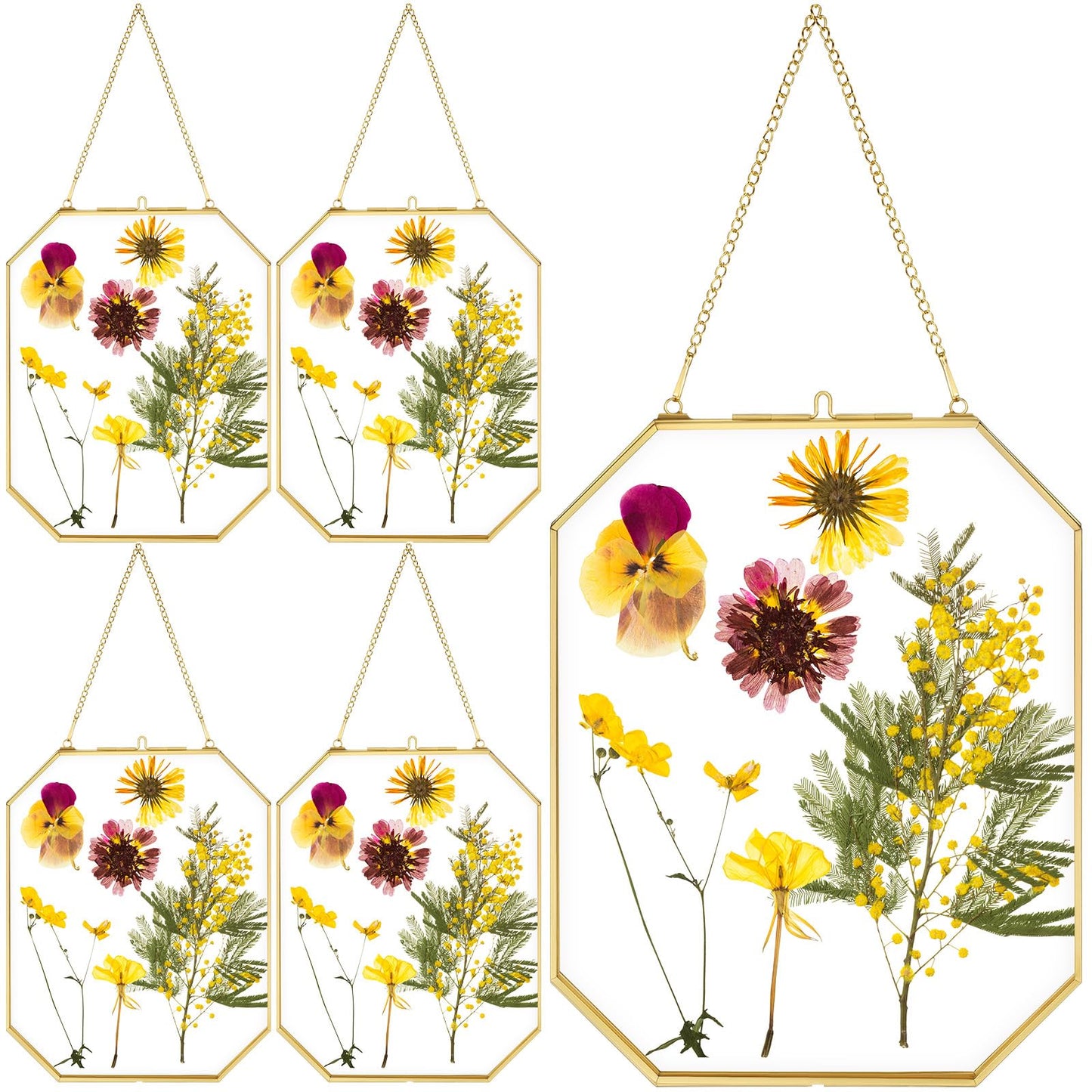 Vicenpal 5 Pcs 8 x 10 Inches Glass Pressed Flower Frame, Hanging Floating Picture Frame for Tabletop Artwork Dried Flower Display with Metal Chain for Mom Friends Wedding Gift DIY Craft(Coppery)