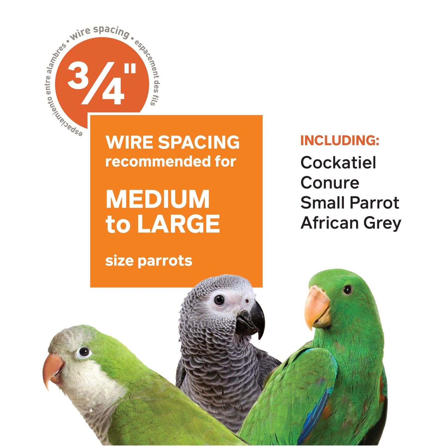 Prevue Pet Products Dome Top Bird Cage - Powder‑Coated Steel Cage with Wheels, Push Button Locks, Seed Guards and Perch, Ideal for Cockatiels, and All Small-Medium Sized Birds - Chalk White