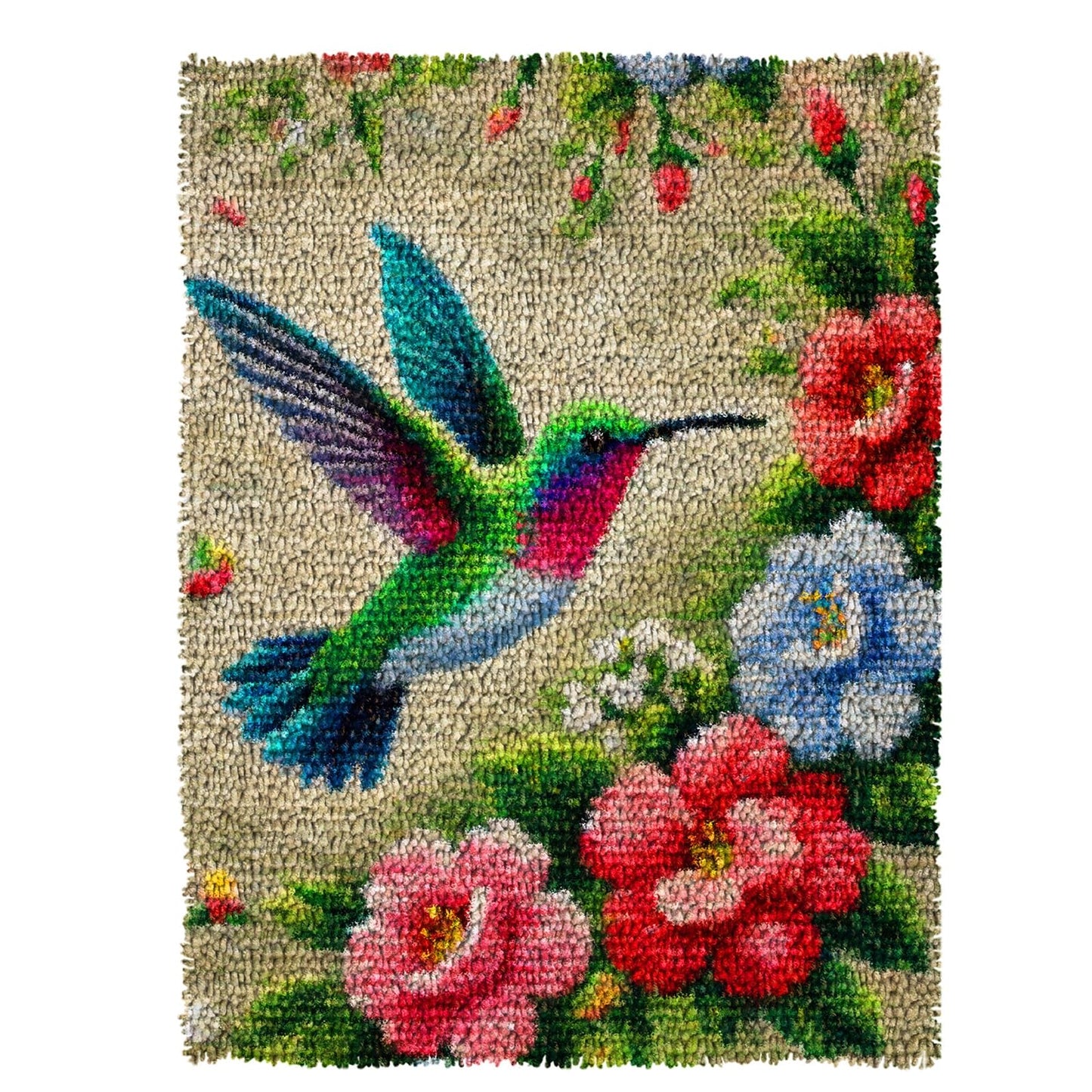 MIAOLLUN Hummingbird Flower Latch Hook Kits for Adults Beginner, DIY Bird Pre-Printed Canvas Rug Cushion Making Craft Embroidery Crochet Yarn Kit 52X38cm