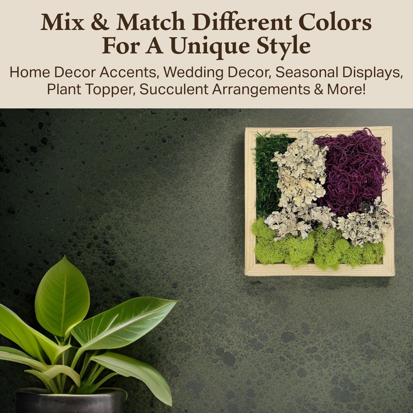 Quality Growers - The Moss Collection Variety Pack - Natural Decorative Moss - Crafts, Home Decor, Art, Design & DIY Projects - Non-Toxic - Made in USA - Red Mix, Medium, 2-Pack