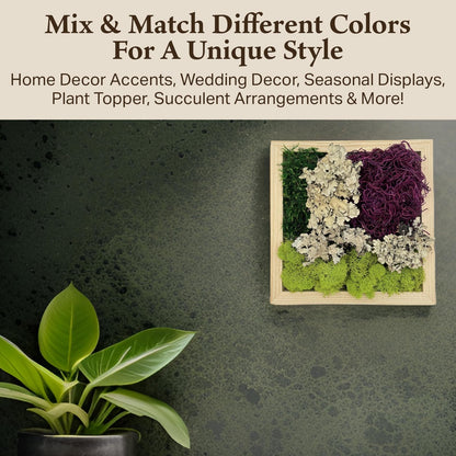 Quality Growers - The Moss Collection Variety Pack - Natural Decorative Moss - Crafts, Home Decor, Art, Design & DIY Projects - Non-Toxic - Made in USA - Red Mix, Medium, 2-Pack
