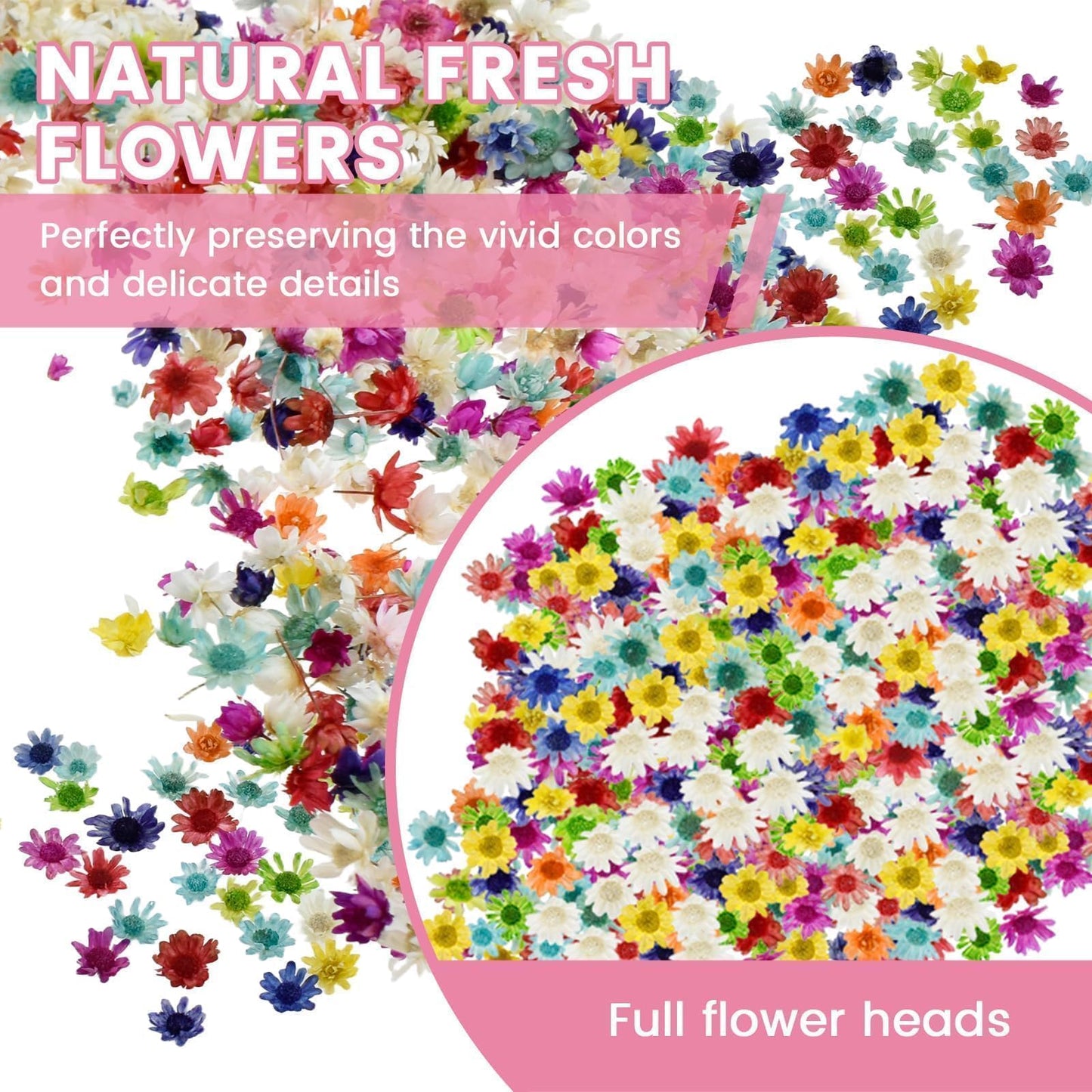 MARRTEUM 800 PCS Mini Dried Flowers for Resin - Include Tweezers, Small Tiny Natural Real Dried Pressed Flowers Art Bulk for Crafts Resin Nails, DIY Epoxy Earrings Jewelry Crafts, Soap Candles Making