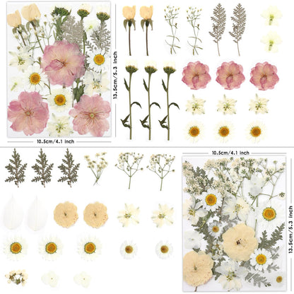 LUXEEASE 80 Pcs Dried Flowers for Crafts, Real Natural Dried Pressed Flowers in Soft Yellow, White & Pink Tones for Resin, DIY Art, Jewelry, Candle & Soap Making – Tweezers Included