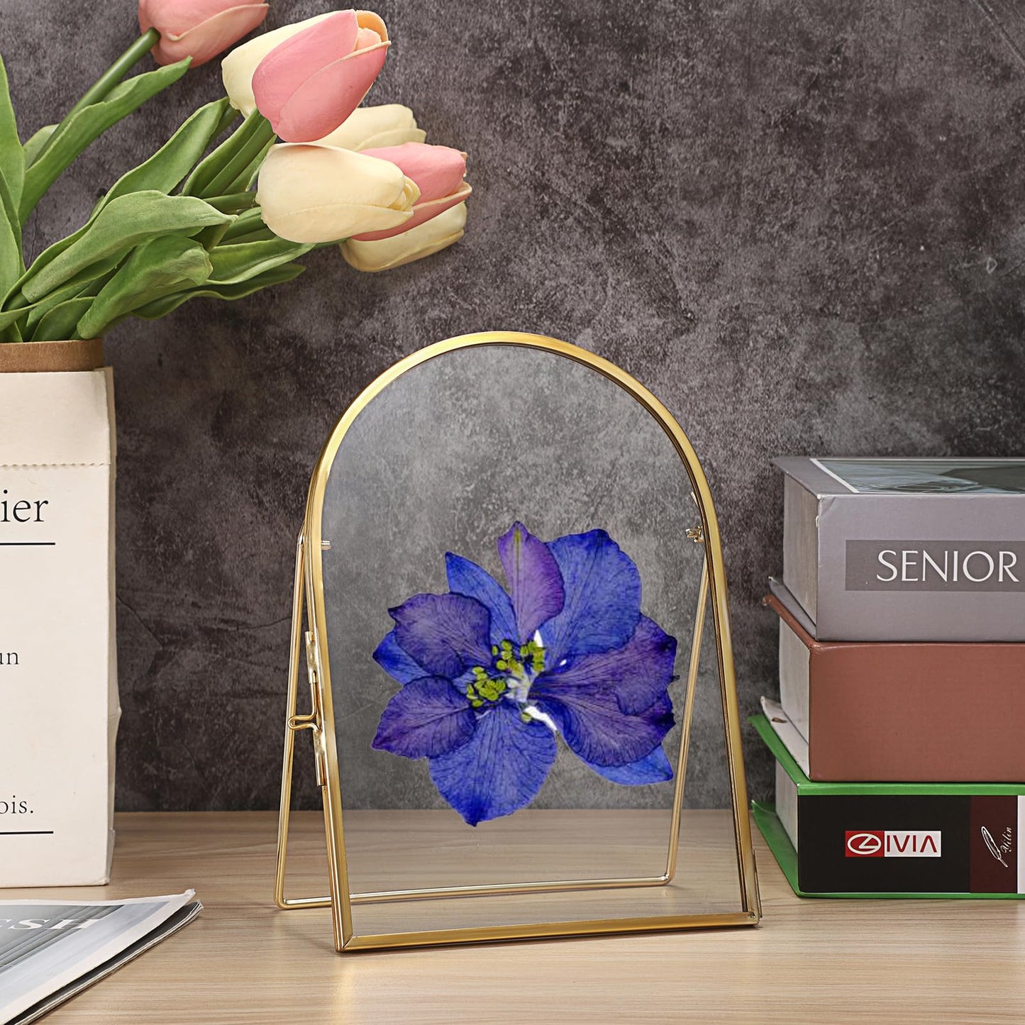 JUXYES 3 Pack Tabletop Double Glass Brass Frame for Pressed Flowers, Arch Double Sided Glass Frame Gold Floating Artwork Display Frames for Photo, Picture, Dried Pressed Flower, etc, 5x7 Inches