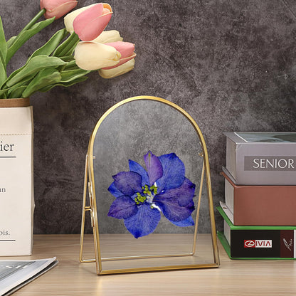 JUXYES 3 Pack Tabletop Double Glass Brass Frame for Pressed Flowers, Arch Double Sided Glass Frame Gold Floating Artwork Display Frames for Photo, Picture, Dried Pressed Flower, etc, 5x7 Inches