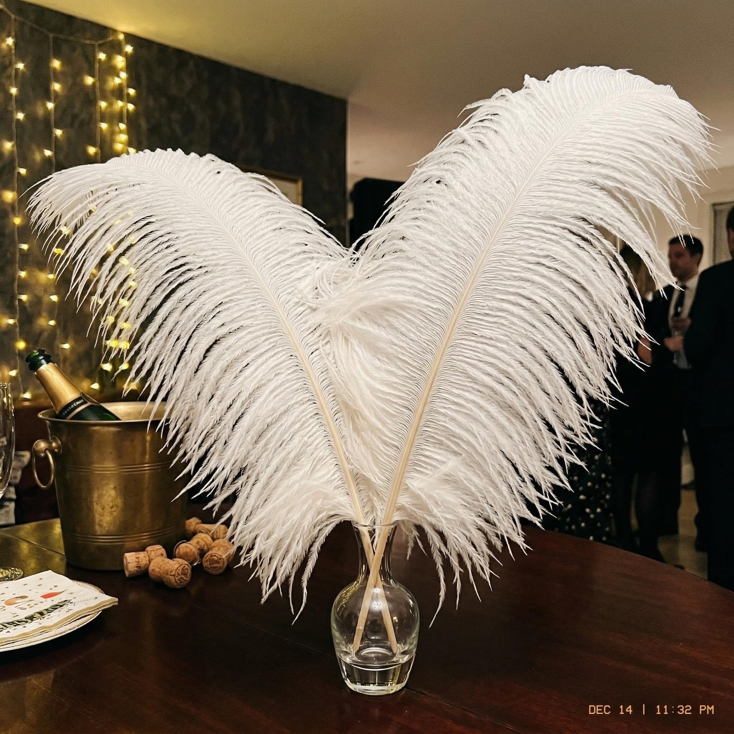 Lamar 10 Pcs XXL White Ostrich Feathers 20-22 Inch Large Ostrich Feathers with Thick Pole, Voluminous, High-Luster Perfect for Weddings, Centerpieces, DIY Decor, Photography
