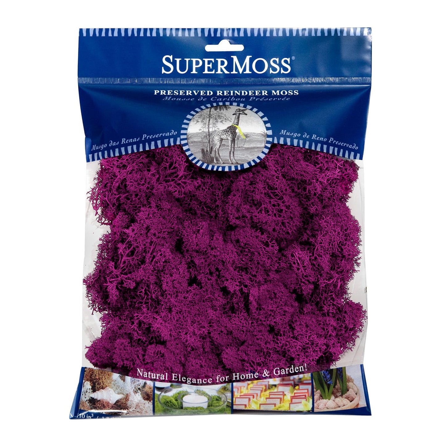 SuperMoss (23165) Reindeer Moss – Soft Preserved Moss for Home Decor, Crafts, Terrariums, Floral Design, and Wedding Decorations, 120 cu in, Fuchsia