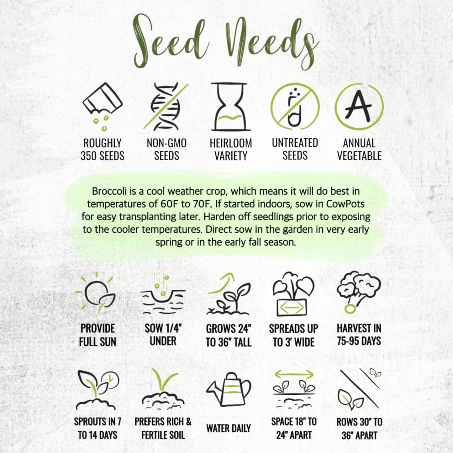 5 Packs) Seed Needs Cauliflower Seeds for Planting Romanesco Broccoli/Cauliflowers - Non-GMO Heirloom & Untreated