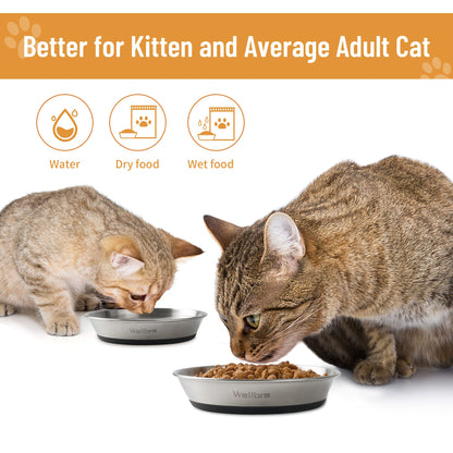 Wellbro Cat Bowls, 2 Pcs Stainless Steel Cat Bowls for Food and Water, Whisker Fatigue Shallow Non-Slip Dishes Plates for Small Dog Puppies Cats