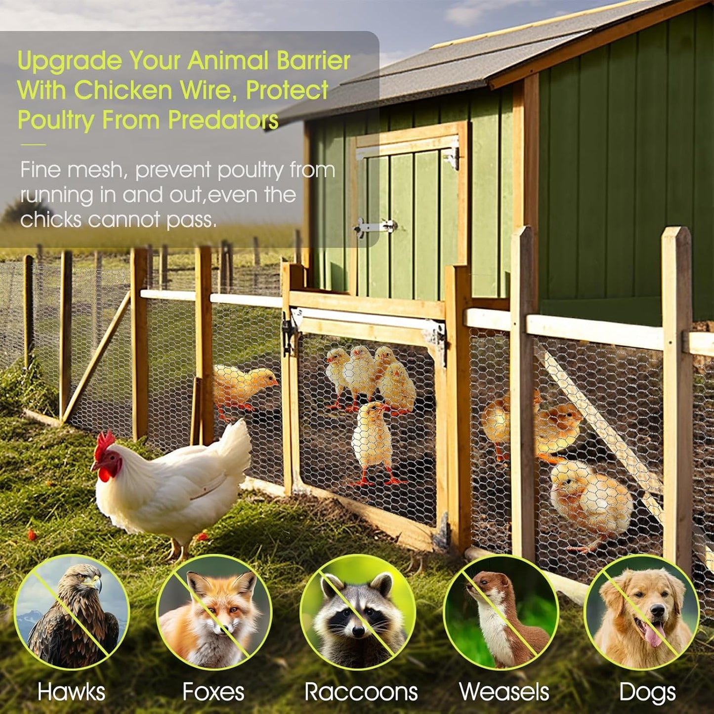 24 Rifny 16.5 Inch 80 0.6 Inch Chicken Wire Fencing, x Feet Chicken Wire Mesh Roll for Garden Plants, Mesh Hexagonal