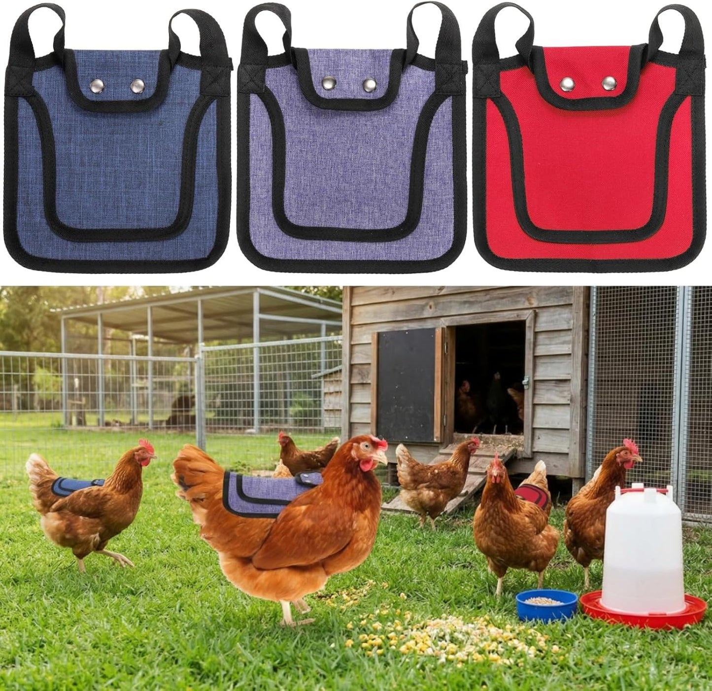3 Pack Sides(3 Noamus Chicken Saddle for Hens, Premium Outdoor Saddle with Adjustable Strap, Sweater Clothes Poultry