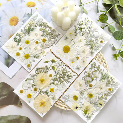 SUAUKEY 95 Pcs White Pressed Dried Flowers for Resin, Real Natural Bulk Dry Wildflowers Leaves Perfect for Epoxy Molds, DIY Crafts, Home Decor, Soap Candles Jewelry Making
