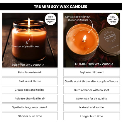 Balsam Fir Pine - Soy Candles for Home Scented - 5oz Natural Clean Non Toxic - for Fall Winter Christmas Holidays - Long Lasting Highly Scented Pet Safe Luxury Tin - Velas Aromáticas para el Hogar